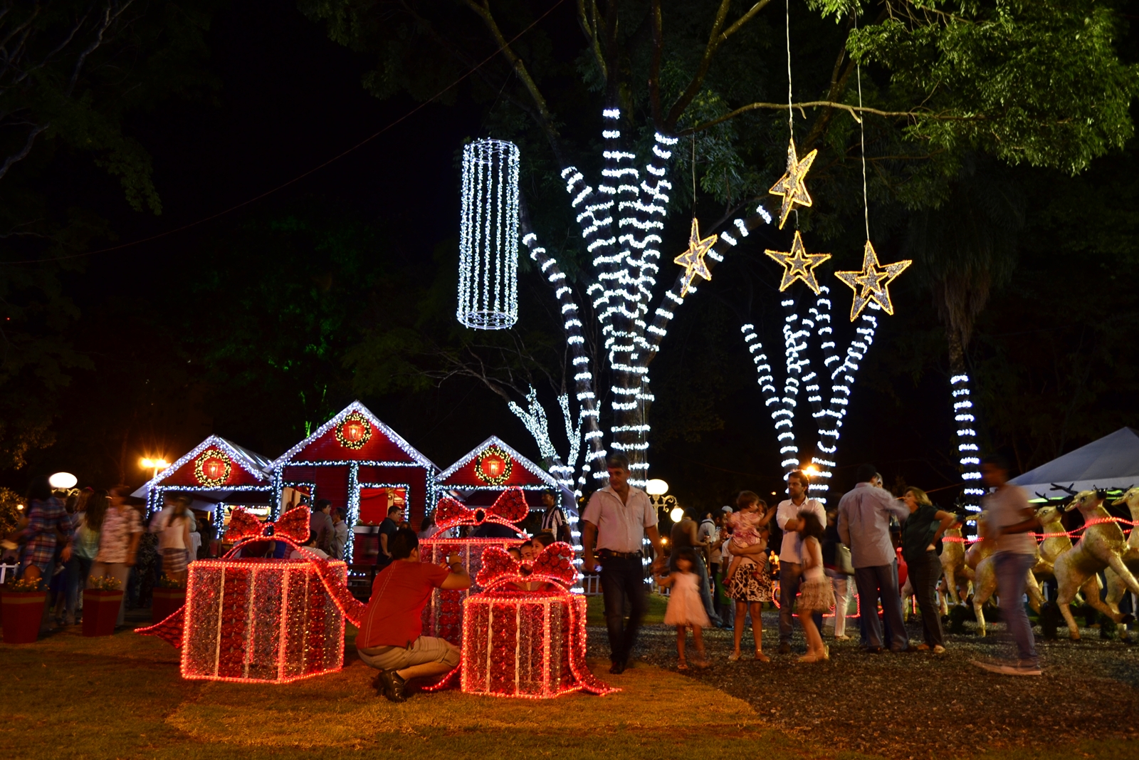 Iluminação de Natal começa a ser montada