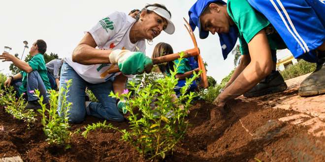 Presidente de honra da OVG e alunos da Apae  replantam canteiros na Praça Cívica