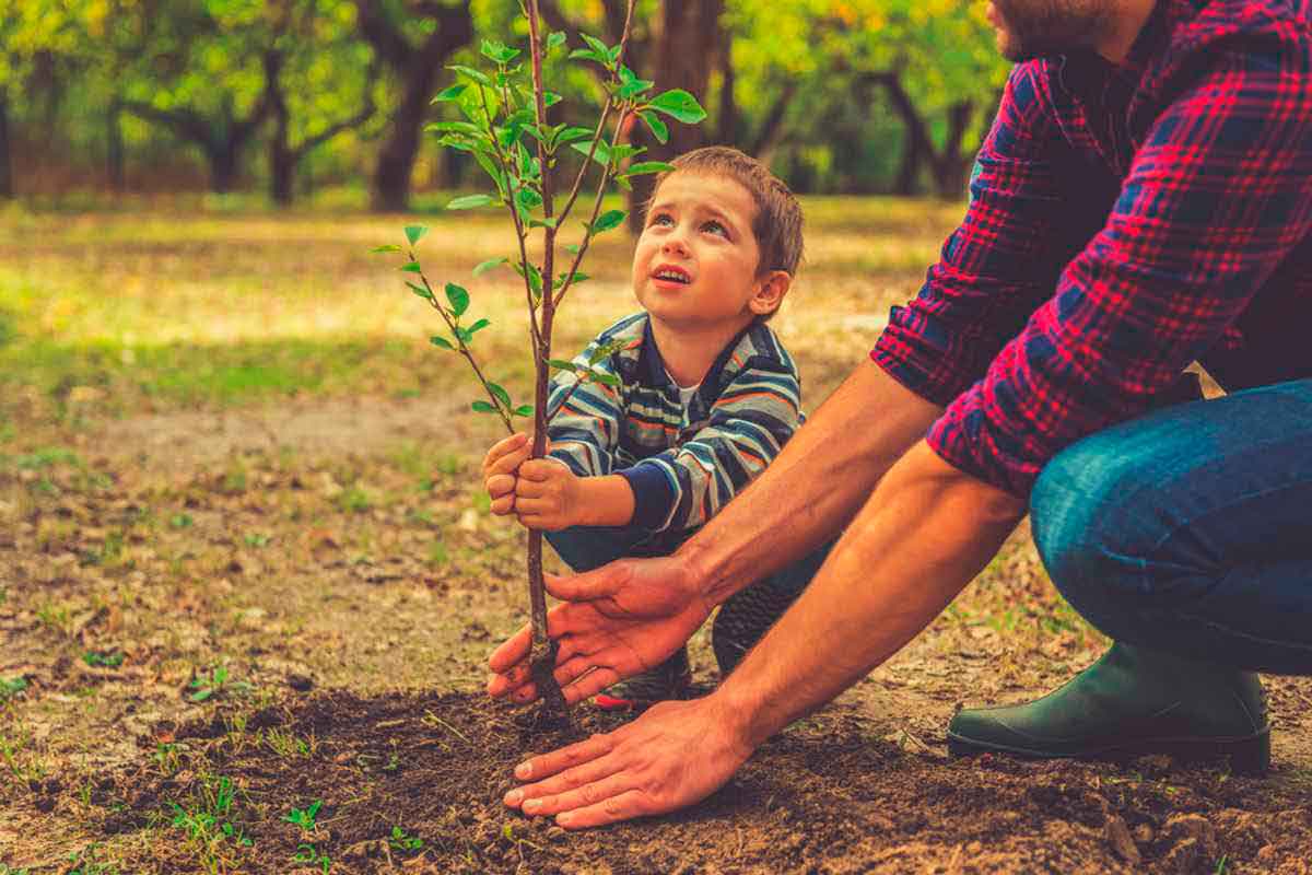 Como ensinar sobre sustentabilidade para os seus filhos?